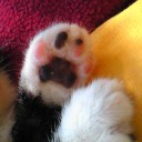 みーみ26日目