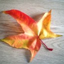 2010年11月7日