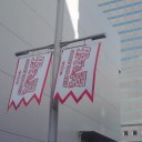 行ってきました。