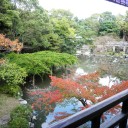 旅行記①　てくてく・・・あるく・・・歩く・・・ARUKU・・・