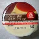 2010年11月13日