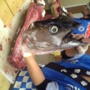 [いなはん]マグロヘッド！[丼]