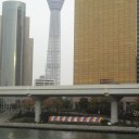コタツにこだわるスター☆(追記あり)