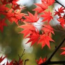 ああ・・さむい・・さむい・・