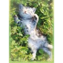 【あの蒼空】とうとうキャラクタースリーブを購入【極はいずこであろうのう】