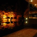 繰り返す終わり　　endless fall
