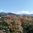 紅葉、あった＾＾