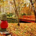 秋のお寺　　season  for rain