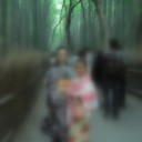 竹林の道と月の庭