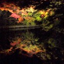 竹林の道と月の庭