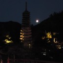 京都フォト