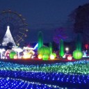 東京ドイツ村　イルミネーション