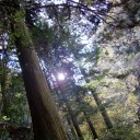 山と天狗と紅葉。