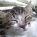 みーみ45日目
