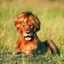 ＩＲＯＮ ＬＩＯＮ ＺＩＯＮ