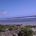 久高島で・・・w(°o°)w