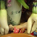 11月28日の日記