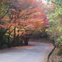 諸々の話（11/28）