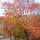 大体元通りになりました