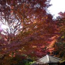 【日常】ウォーキング