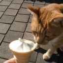 ドーンを待ちながら