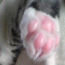 みーみ50日目