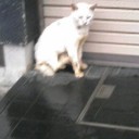 今日はおやすみ