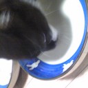 みーみ52日目