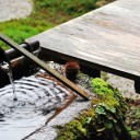 雨　　one drop