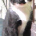 みーみ56日目