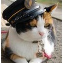 ああ・・・たまちゃん・・・