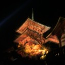 日帰り京都２０１０秋