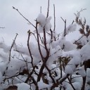 2010年12月7日