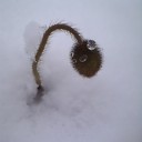 2010年12月7日