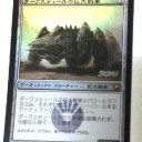世界大会　初日