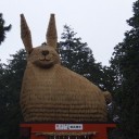 土曜日は兵庫県へプチ旅行～年賀状・Ortensia・温泉～