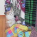 zzzzz…