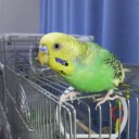 電気スタンド