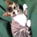 みーみ65日目