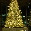 クリスマスイルミネーション