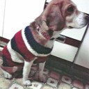 手編みのセーター