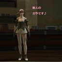 念願の。