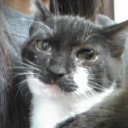 みーみ71日目
