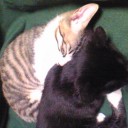 みーみ72日目