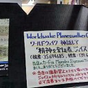 昼から夜遊び
