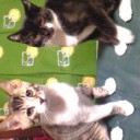 みーみ74日目