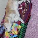 これは