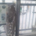 スキー旅行と俺。