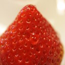 EF-S 60mm F2.8 MACRO USM