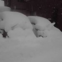 とんでもない大雪の中